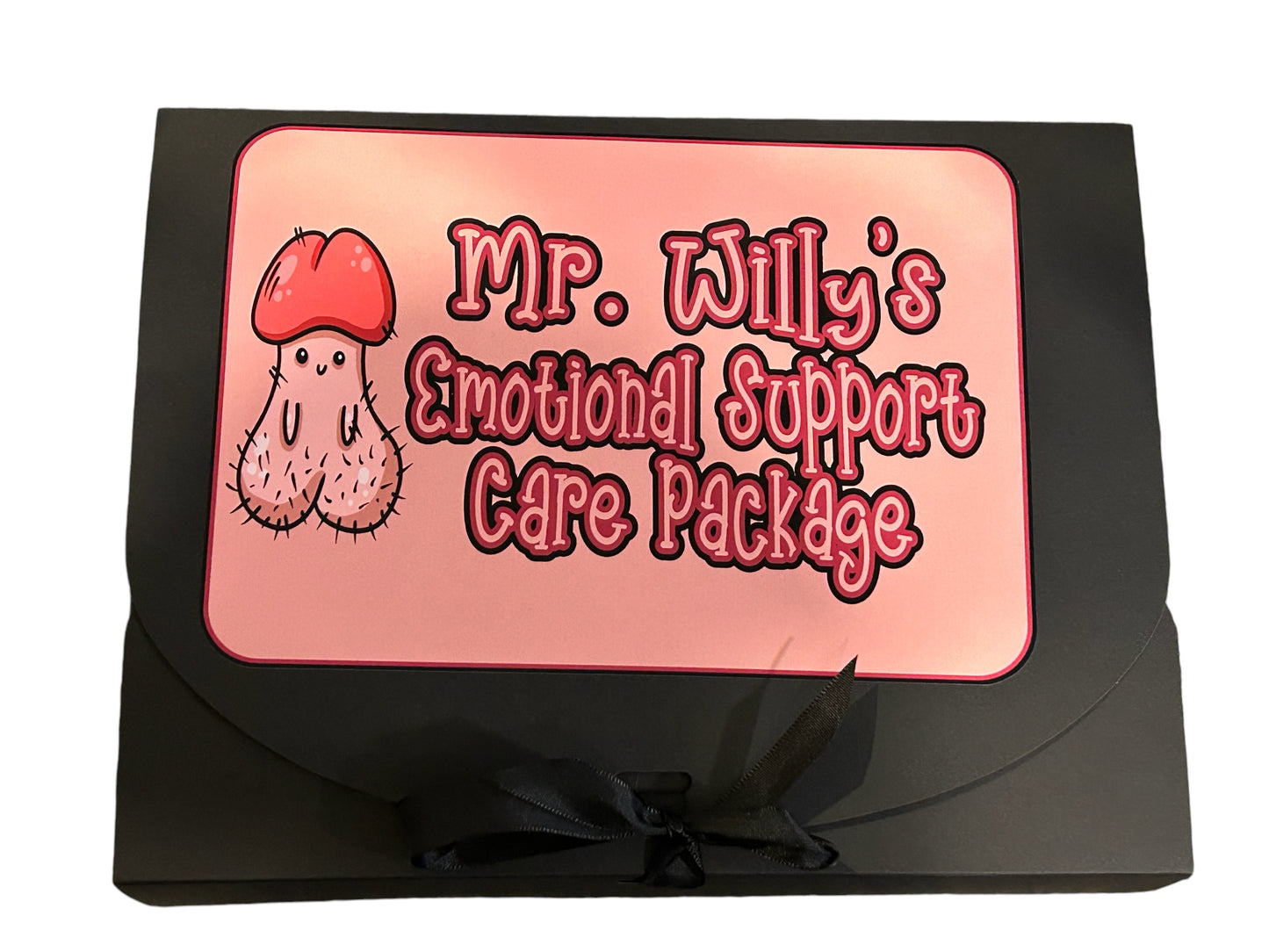 Mr. Willy Emotional Support Care Package - gift set, Mature, Penis theme gift set, 18+ adult box set, bachelorette party gift, divorce gift, gift for her
