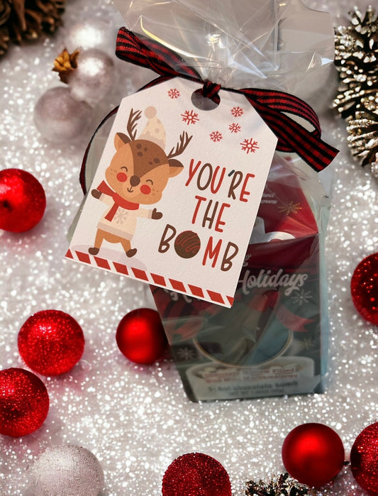 You're the Bomb - Gift set with gift tag and hot cocoa bomb, Christmas gift, appreciation gift, teacher gift, friends gift, small gift of appreciation