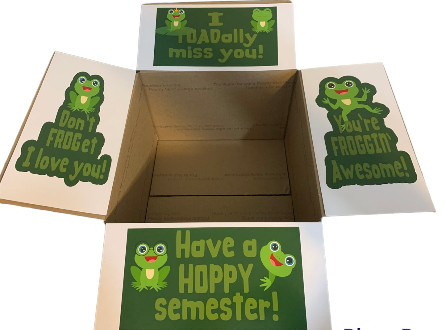 Frog/toad/green themed care package box decor/stickers/labels - toad and frog puns perfect for college students and loved ones