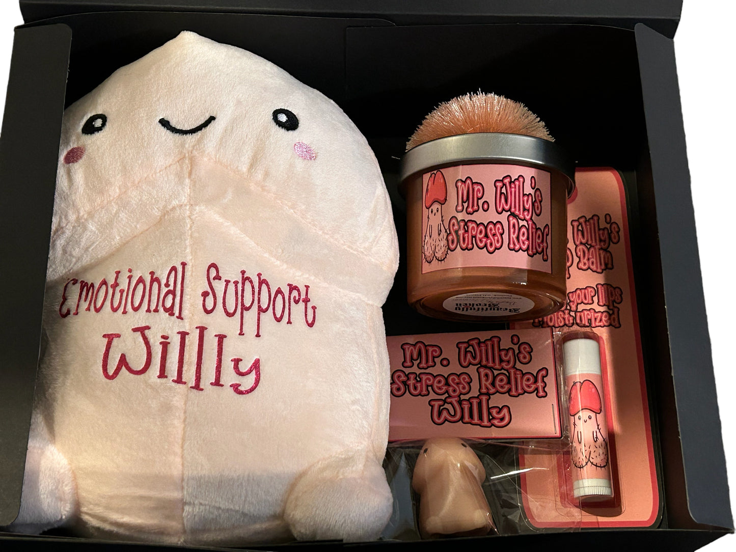 Mr. Willy Readers Care Package - Blind date with a Book gift set, Mature, Penis theme gift set, 18+ choose your own book spicy readers box gift set