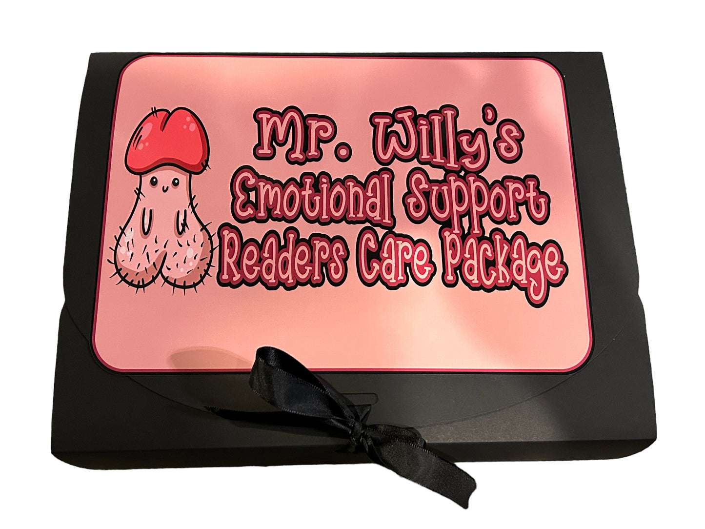 Mr. Willy Readers Care Package - Blind date with a Book gift set, Mature, Penis theme gift set, 18+ choose your own book spicy readers box gift set