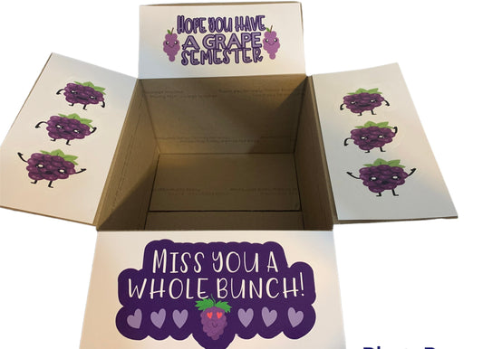 Grape/purple themed care package box decor/stickers/labels - hope you have a grape semester, miss you a whole bunch